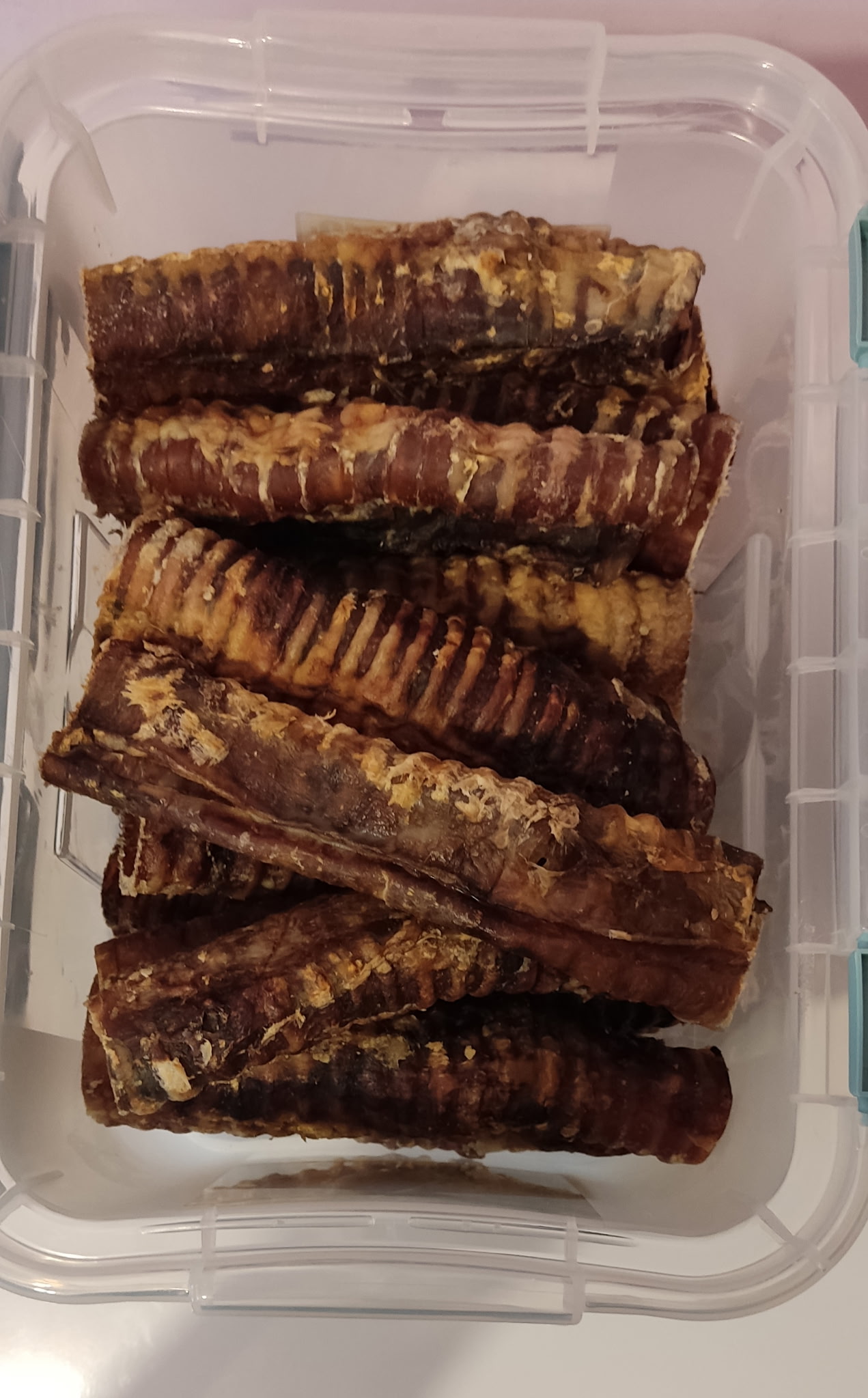 Trachée de bœuf pour chien