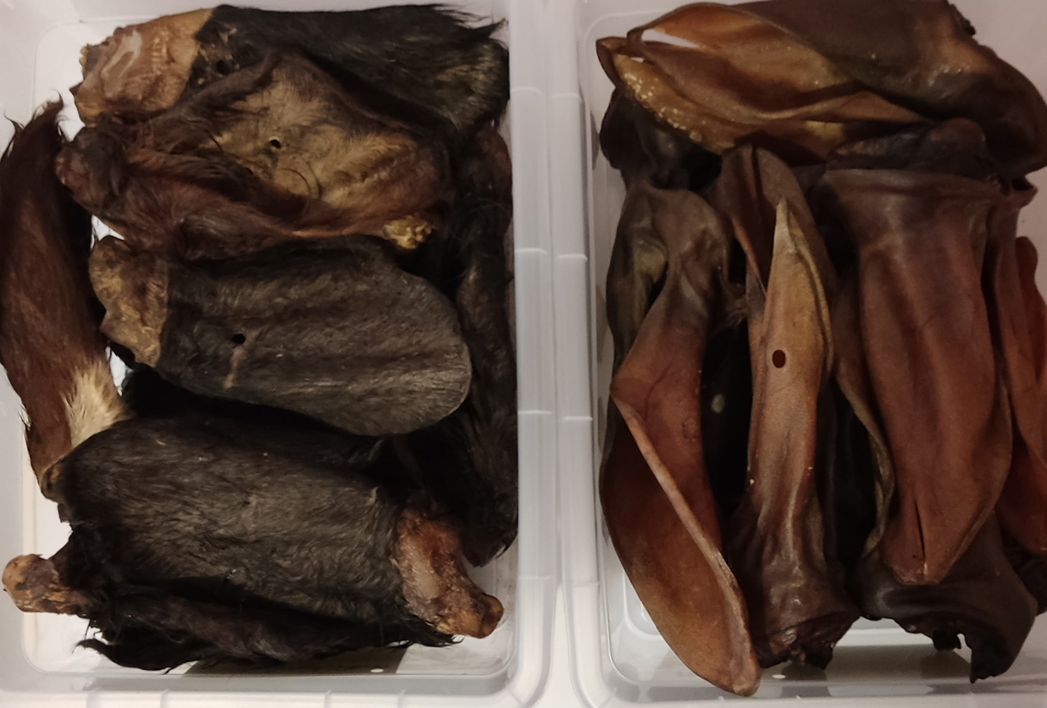 Oreilles de bœuf avec et sans poil pour chien